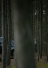 VampireDiaries-dot-nl_VampireDiaries-8x12WhatAreYou1045.jpg