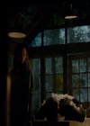 VampireDiaries-dot-nl_VampireDiaries-8x12WhatAreYou1272.jpg