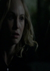 VampireDiaries-dot-nl_VampireDiaries-8x12WhatAreYou1728.jpg