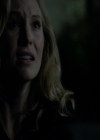 VampireDiaries-dot-nl_VampireDiaries-8x12WhatAreYou1761.jpg