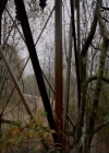 VampireDiaries-dot-nl_VampireDiaries-8x13TheLiesWillCatchUpToYou0334.jpg