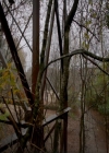 VampireDiaries-dot-nl_VampireDiaries-8x13TheLiesWillCatchUpToYou0335.jpg