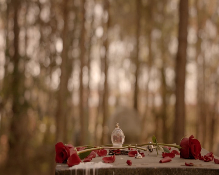 VampireDiaries-dot-nl_VampireDiaries-8x16IWasFeelingEpic2093.jpg
