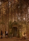 VampireDiaries-dot-nl_VampireDiaries-8x16IWasFeelingEpic2076.jpg