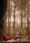 VampireDiaries-dot-nl_VampireDiaries-8x16IWasFeelingEpic2092.jpg