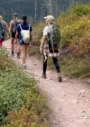 082-4.jpg