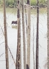 082-7.jpg
