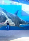 Filename=138-10.jpg
Filesize=70KiB
Dimensions=640x640
Date added=Jan 03, 2024 138-10.jpg