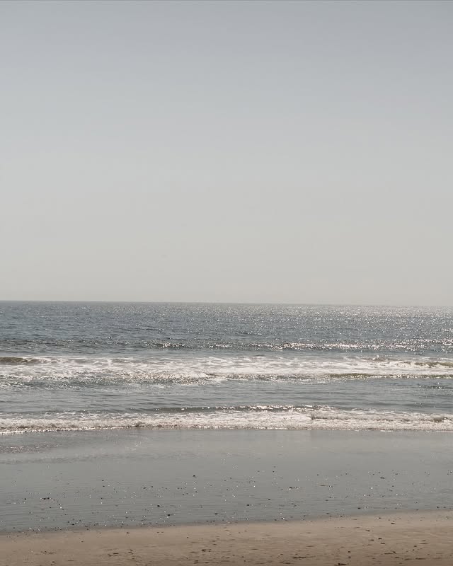 046-5.jpg