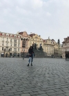 018-2.jpg