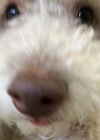 Filename=024-2.jpg
Filesize=71KiB
Dimensions=1080x1080
Date added=Jul 09, 2019 024-2.jpg