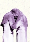 362.jpg
