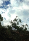 Filename=253.jpg
Filesize=101KiB
Dimensions=1080x1301
Date added=Feb 12, 2023 253.jpg
