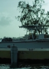 Filename=VampireDiariesWorld-dot-nl_TheOath1x05-1930.jpg
Filesize=393KiB
Dimensions=1280x720
Date added=Feb 08, 2019 VampireDiariesWorld-dot-nl_TheOath1x05-1930.jpg