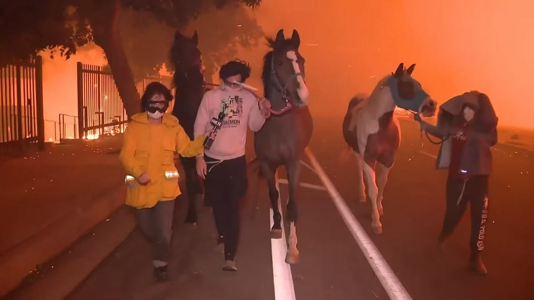 002-15.jpg 002-15.jpg