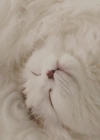 Filename=139.jpg
Filesize=61KiB
Dimensions=720x899
Date added=Mar 19, 2020 139.jpg