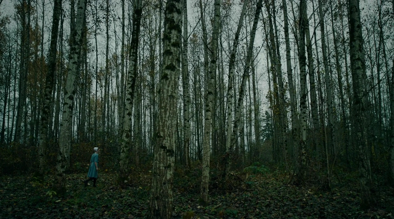 VampireDiariesWorld-dot-nll_AmishAbduction0546.jpg