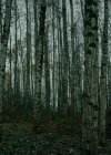 Filename=VampireDiariesWorld-dot-nll_AmishAbduction0542.jpg
Filesize=823KiB
Dimensions=1280x714
Date added=Jan 15, 2023 VampireDiariesWorld-dot-nll_AmishAbduction0542.jpg
