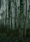 Filename=VampireDiariesWorld-dot-nll_AmishAbduction0543.jpg
Filesize=807KiB
Dimensions=1280x714
Date added=Jan 15, 2023 VampireDiariesWorld-dot-nll_AmishAbduction0543.jpg