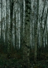 Filename=VampireDiariesWorld-dot-nll_AmishAbduction0544.jpg
Filesize=811KiB
Dimensions=1280x714
Date added=Jan 15, 2023 VampireDiariesWorld-dot-nll_AmishAbduction0544.jpg
