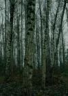 Filename=VampireDiariesWorld-dot-nll_AmishAbduction0545.jpg
Filesize=839KiB
Dimensions=1280x714
Date added=Jan 15, 2023 VampireDiariesWorld-dot-nll_AmishAbduction0545.jpg
