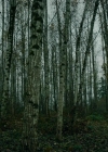 Filename=VampireDiariesWorld-dot-nll_AmishAbduction0546.jpg
Filesize=854KiB
Dimensions=1280x714
Date added=Jan 15, 2023 VampireDiariesWorld-dot-nll_AmishAbduction0546.jpg