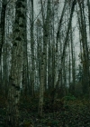 Filename=VampireDiariesWorld-dot-nll_AmishAbduction0547.jpg
Filesize=817KiB
Dimensions=1280x714
Date added=Jan 15, 2023 VampireDiariesWorld-dot-nll_AmishAbduction0547.jpg