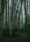 Filename=VampireDiariesWorld-dot-nll_AmishAbduction0548.jpg
Filesize=798KiB
Dimensions=1280x714
Date added=Jan 15, 2023 VampireDiariesWorld-dot-nll_AmishAbduction0548.jpg