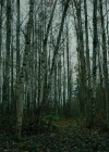 Filename=VampireDiariesWorld-dot-nll_AmishAbduction0550.jpg
Filesize=816KiB
Dimensions=1280x714
Date added=Jan 15, 2023 VampireDiariesWorld-dot-nll_AmishAbduction0550.jpg