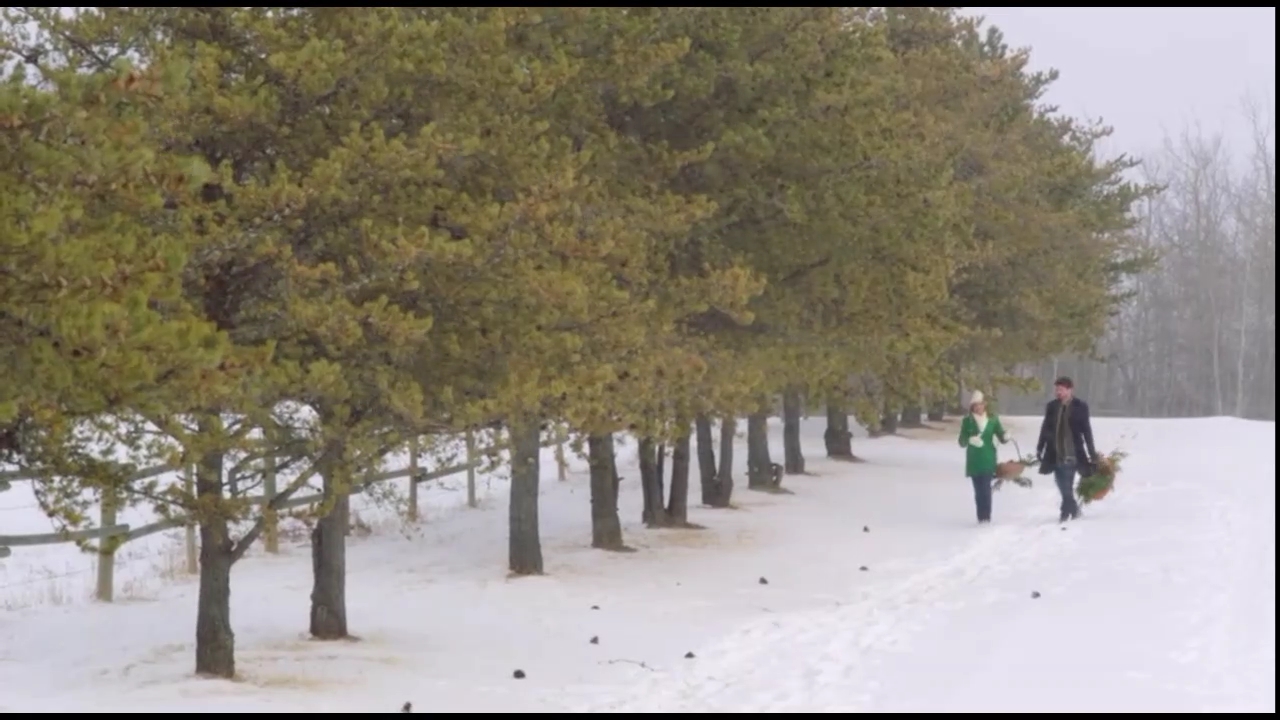VampireDiariesWorld-CoupledUpForChristmas3410.jpg
