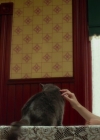 Filename=VampireDiariesWorld-dot-NL_Eadweard1738.jpg
Filesize=692KiB
Dimensions=1920x806
Date added=Oct 29, 2017 VampireDiariesWorld-dot-NL_Eadweard1738.jpg