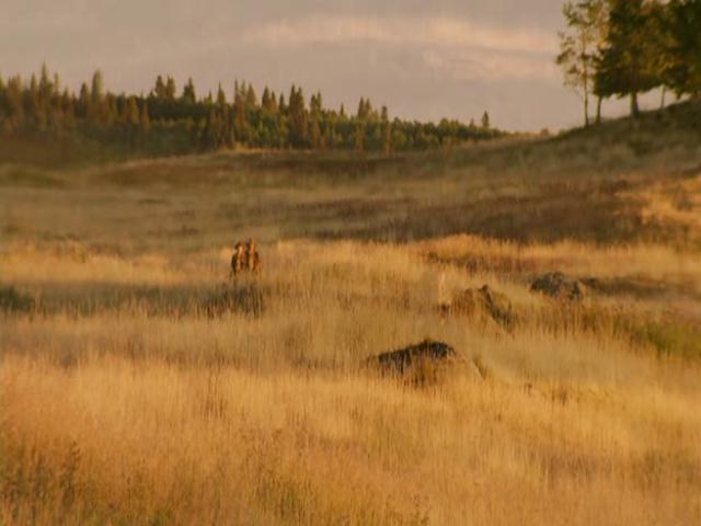 VampireDiariesWorld-dot-org_HannahsLaw0363.jpg