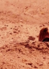VampireDiariesWorld-dot-org_PrimevalNewWorld-1x12-1661.jpg