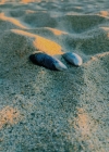005-4.jpg