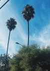 008-1.jpg