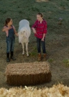 Filename=VampireDiariesWorld-dot-nl_WishUponAUnicorn2347.jpg
Filesize=784KiB
Dimensions=1280x714
Date added=Jan 15, 2023 VampireDiariesWorld-dot-nl_WishUponAUnicorn2347.jpg