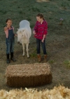 VampireDiariesWorld-dot-nl_WishUponAUnicorn2349.jpg