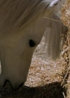 VampireDiariesWorld-dot-nl_WishUponAUnicorn2350.jpg