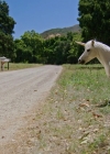 VampireDiariesWorld-dot-nl_WishUponAUnicorn2386.jpg