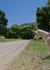 Filename=VampireDiariesWorld-dot-nl_WishUponAUnicorn2391.jpg
Filesize=678KiB
Dimensions=1280x714
Date added=Jan 15, 2023 VampireDiariesWorld-dot-nl_WishUponAUnicorn2391.jpg