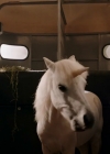 Filename=VampireDiariesWorld-dot-nl_WishUponAUnicorn4348.jpg
Filesize=396KiB
Dimensions=1280x714
Date added=Jan 15, 2023 VampireDiariesWorld-dot-nl_WishUponAUnicorn4348.jpg