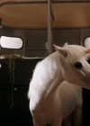 Filename=VampireDiariesWorld-dot-nl_WishUponAUnicorn4349.jpg
Filesize=423KiB
Dimensions=1280x714
Date added=Jan 15, 2023 VampireDiariesWorld-dot-nl_WishUponAUnicorn4349.jpg