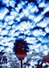 Filename=163.jpg
Filesize=104KiB
Dimensions=612x612
Date added=Feb 13, 2023 163.jpg
