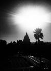 Filename=256.jpg
Filesize=50KiB
Dimensions=640x640
Date added=Feb 13, 2023 256.jpg
