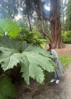 Filename=034-9.jpg
Filesize=506KiB
Dimensions=1080x1350
Date added=Feb 03, 2025 034-9.jpg