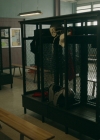 vampirediariesworld-dot-nl_Legacies2x02ThisYearWillBeDifferent00550.jpg