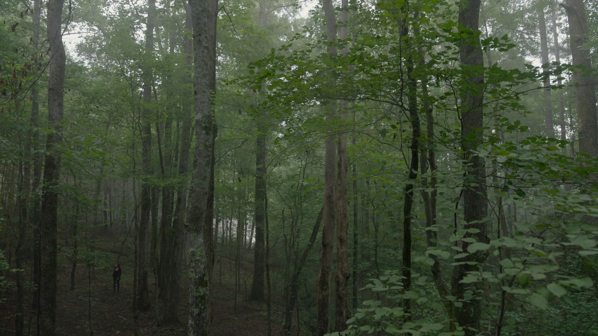 vampirediariesworld-dot-nl_Legacies2x02ThisYearWillBeDifferent00002.jpg