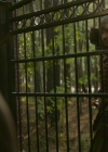 vampirediariesworld-dot-nl_Legacies2x04SinceWhenDoYouSpeakJapanese00505.jpg