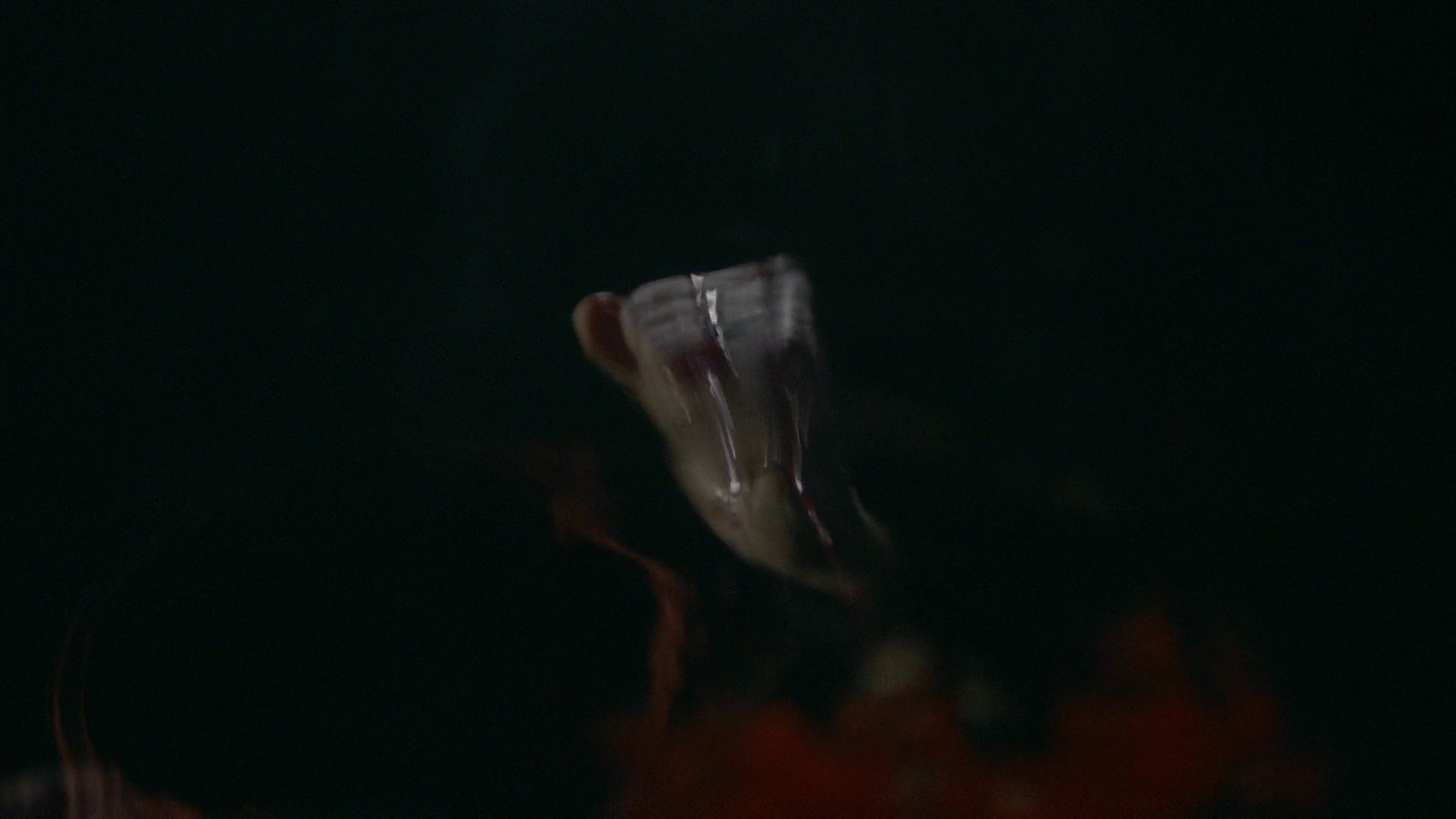 VampireDiariesWorld-dot-nl_Legacies2x06ThatsNothingIHadToRemember2404.jpg