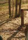 VampireDiariesWorld-dot-nl-Legacies2x15LifeWasSoMuchEasierWhenIOnlyCaredAboutMyself0296.jpg